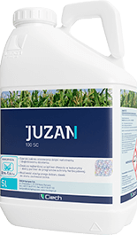 Juzan 100 SC