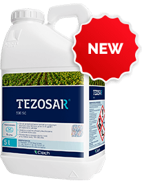 Tezosar<sup>Â®</sup> 500 SC