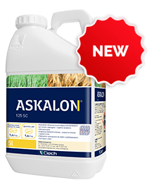 Askalon<sup>Â®</sup>125 SC