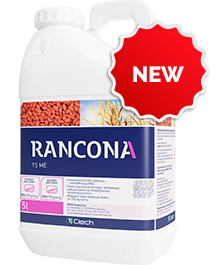 Rancona 15 ME